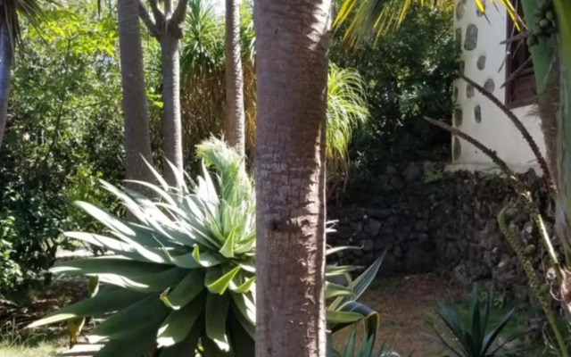 La Casita de la Vega