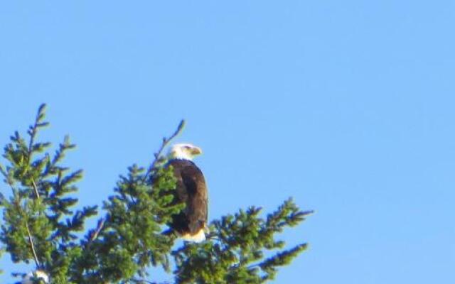 Caprice Bed And Breakfast