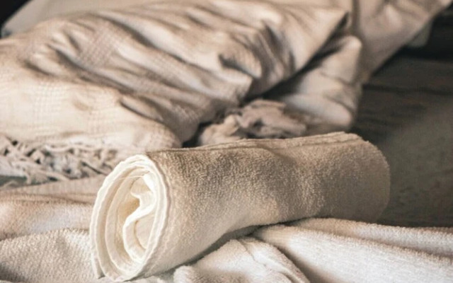 Paradise Suit Sal Premium