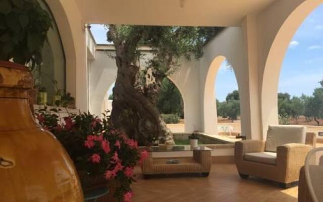 L'Ulivo Bed and Breakfast