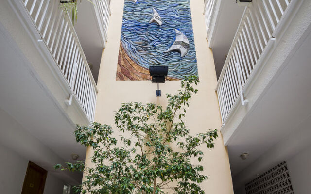 Apartamentos Avenida