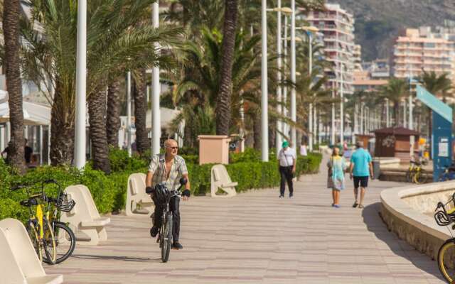 Ático dúplex en urbanización familiar