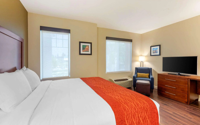 Comfort Inn & Suites near Ontario Airport