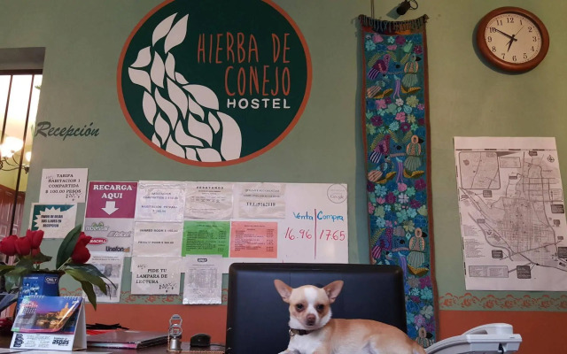 Hierba de Conejo - Hostel