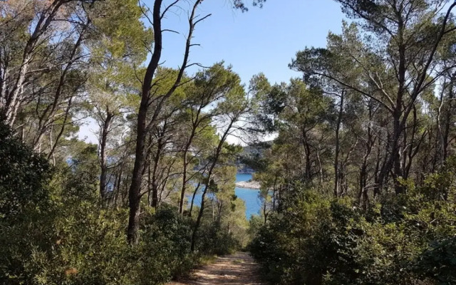 Villa Bistrana - 15m From sea - H