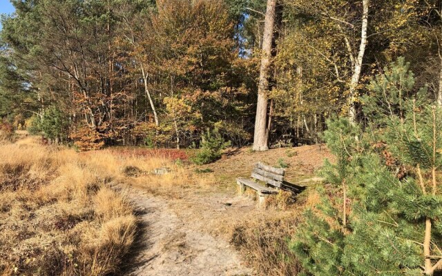 Luxurious Bungalow in Ambt Delden with terrace