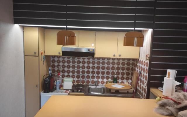 Résidence le Faucon - Col du Donon