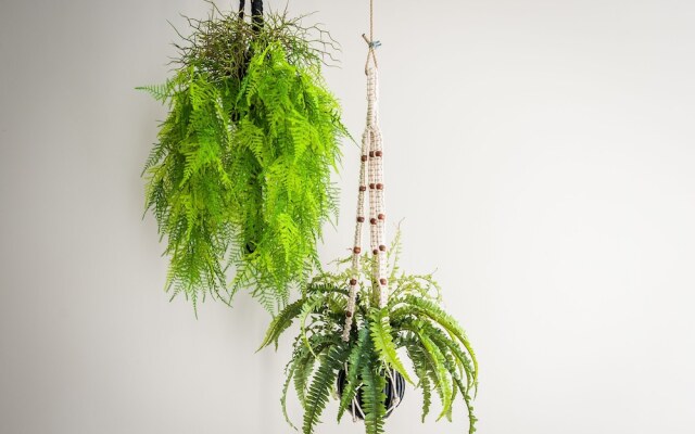 Leidse Square Marnix Apartments