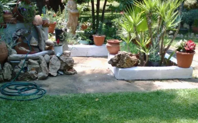 Sophia's House