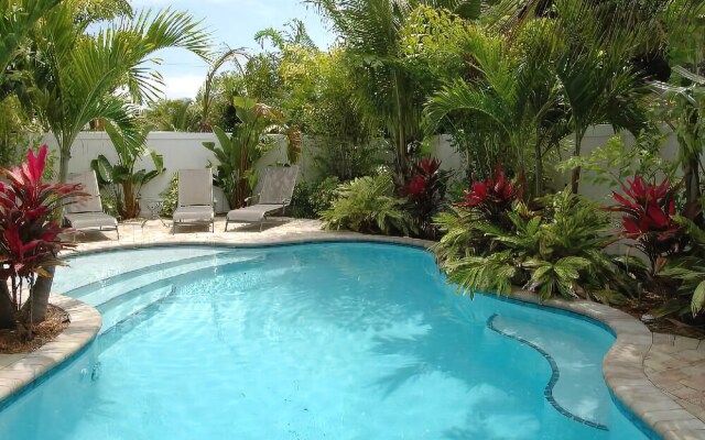 Sand Dollar by RedAwning