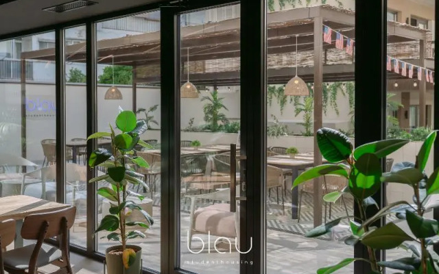 BLAU Student Housing & Language Academy