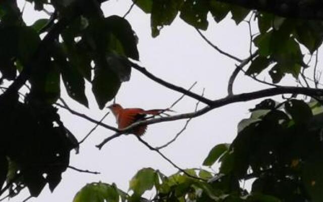 Campestre Arenal Hotel