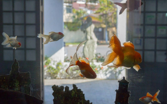 Pousada Torre del Mar