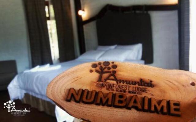 Amuntai Rainforest Lodge