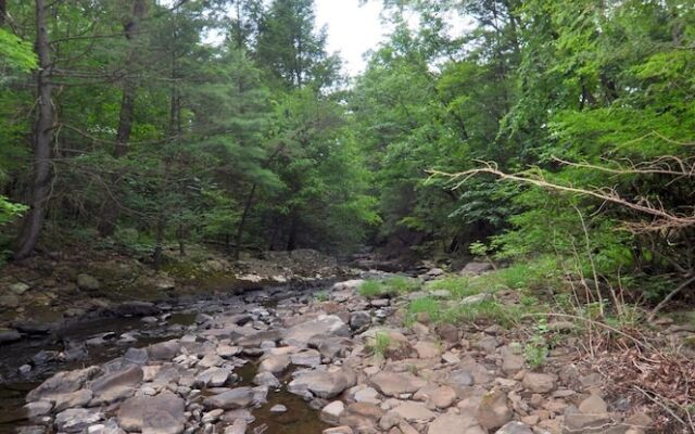 Rosies Creekside Retreat - 3 BR Escape!