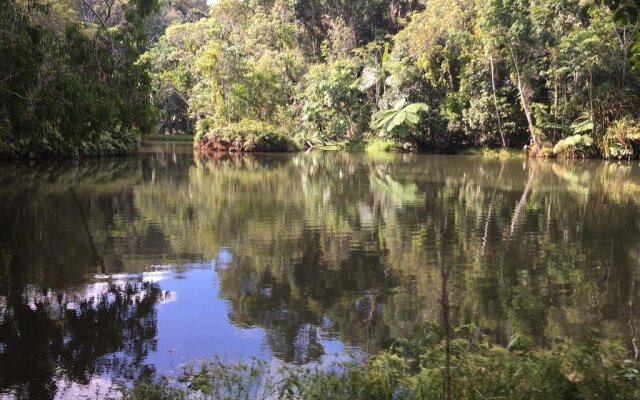 Platypus Springs Rainforest Retreat