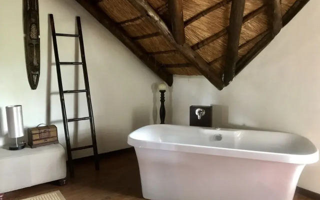 Rhinos Rest