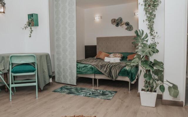 Grand studio, vue mer centre ville carte parking