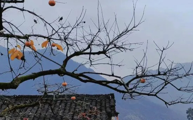 Tonghui Xiaonan Inn