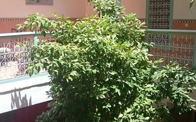 Riad Dar Nael