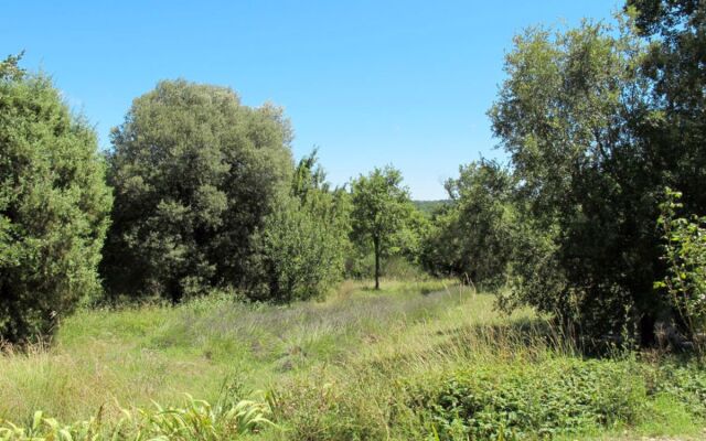 Le Moulin de Verfeuil (VEF100)