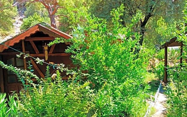 Canario Bungalows