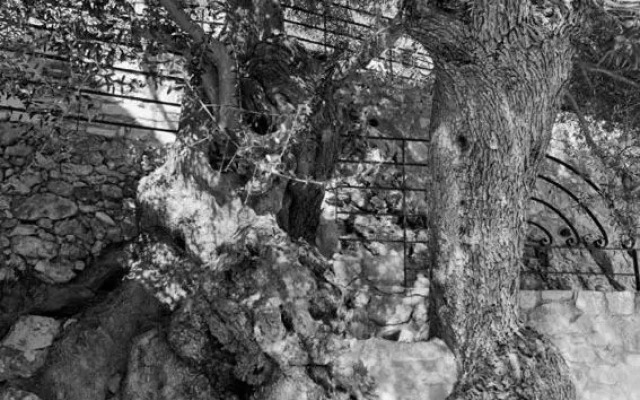 Traditional House Star