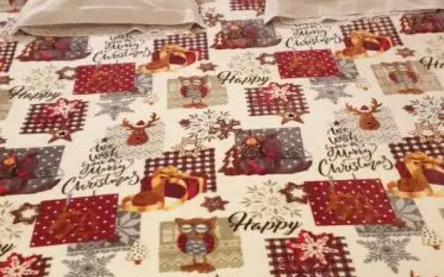 Felicita Vintage Appartements - Colmar City Center