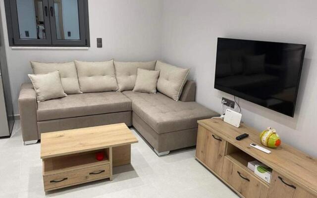 Furnished apartment (in the city center)