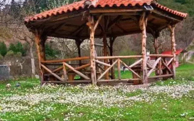 Michel Studios