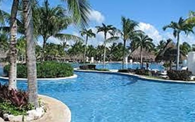 Vida Maya by Dicasi RM