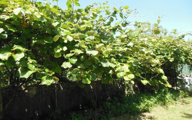 BB La Cascina Nel Frutteto