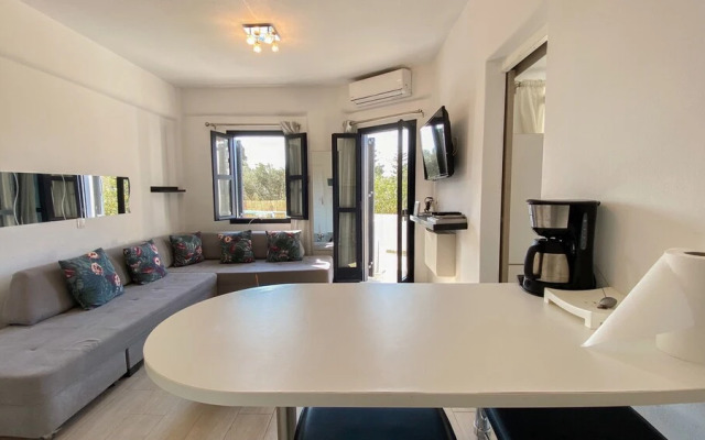 Platis Gialos Apartment