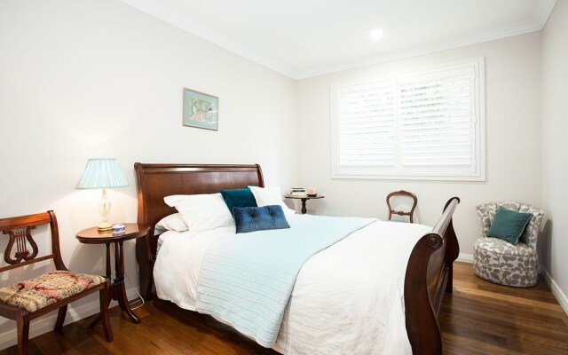 Wilber Wonder (H736)