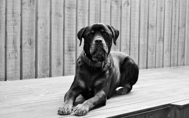 Versailles Self-Catering