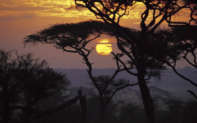 Sanctuary Swala