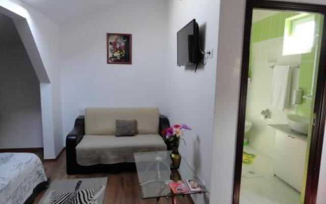 Carmen Studio