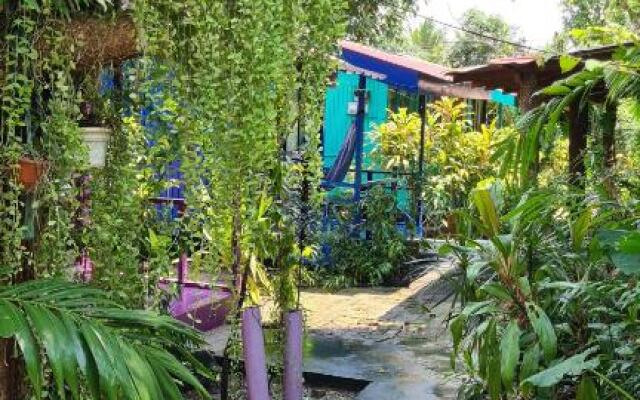 Gecko Guesthouse Langkawi