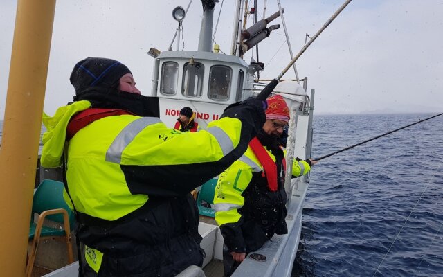 Live Lofoten Fisherman's Cabins