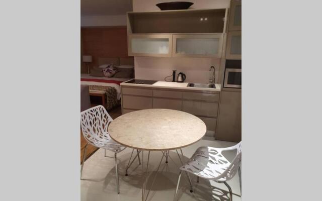 Luxury Gallery apartment - Studio 106