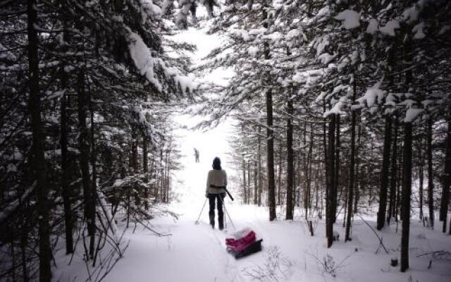 Aventure Rose Des Vents