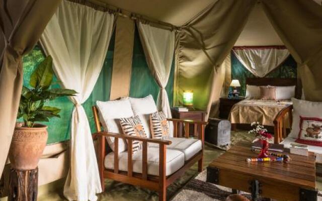 Losokwan Luxury Tented Camp - Maasai Mara