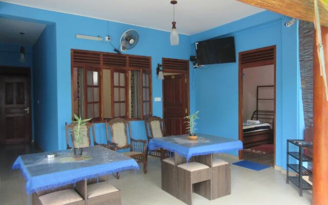 New Blue Home
