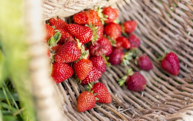 Bio Bigonia Organic Agritourism