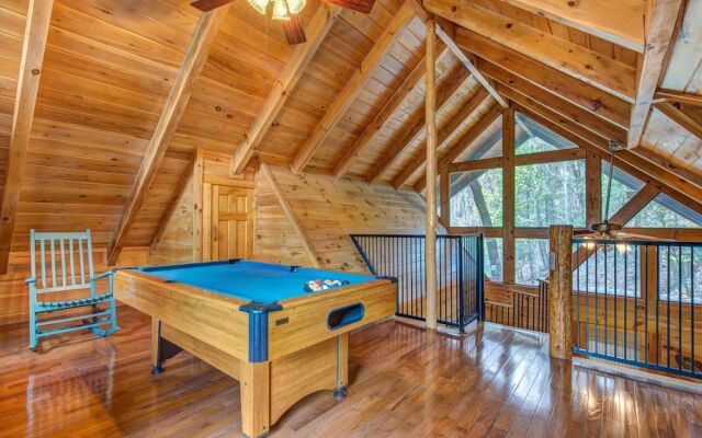 Bear Pause by Vtrips