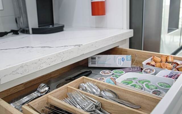 Luxury 3BD Rooftop Home in Dwtwn HTX.