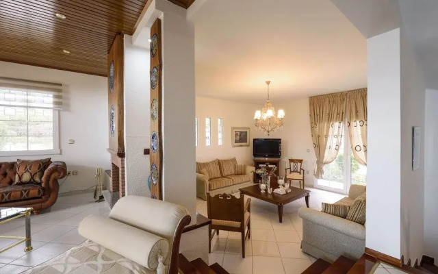 Olvios Villa at Melissochori