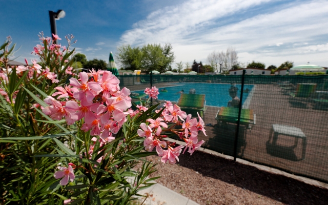 Club del Sole Bologna Easy Camping Village