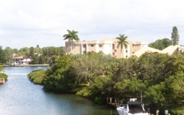 Midnight Cove Ii 944c - Exceptional Views! 2 Bedroom Condo