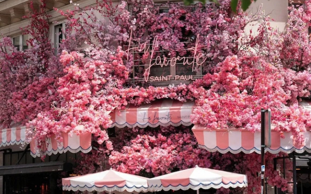 Cosy Duplex - 2p/1bd - in the Heart of the Marais